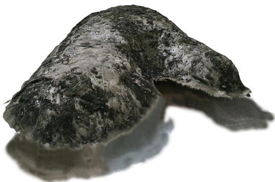 acker-objekte-fossil